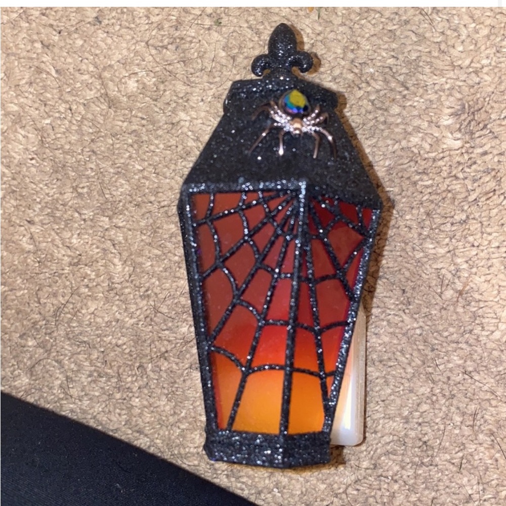 Lantern wallflower